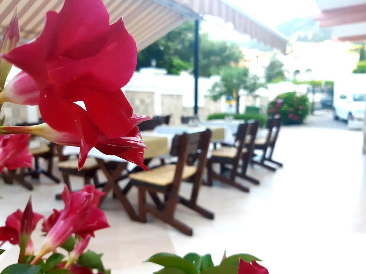 Garni Hotel Koral Budva Eksteriør bilde